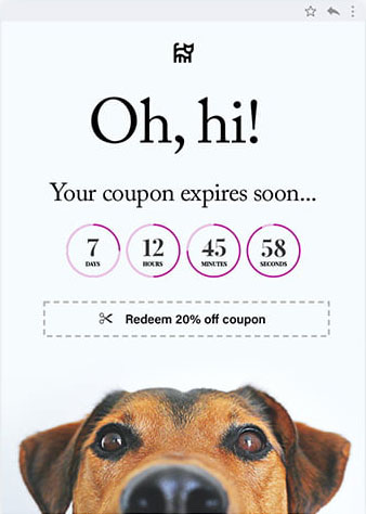 coupon expiration email example, with text: Oh, hi! Your Coupon expires soon... Redeem 20% off coupon