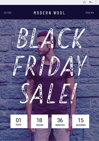 Holday sale email example, with text: Modern Wool. Black firday Sale!